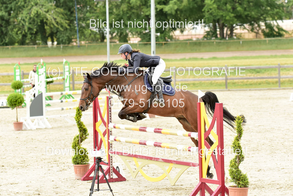 230520-Springen-Kl-L-bis-550-RLP_156.jpg