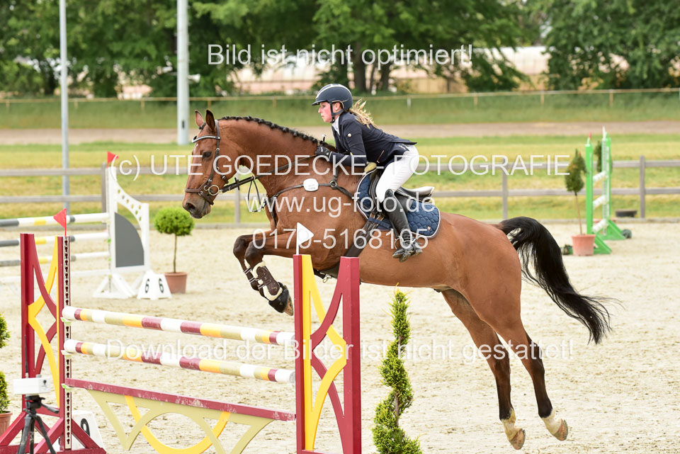 230520-Springen-Kl-L-bis-550-RLP_162.jpg
