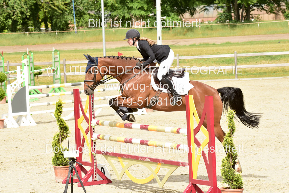 230520-Springen-Kl-L-bis-550-RLP_193.jpg