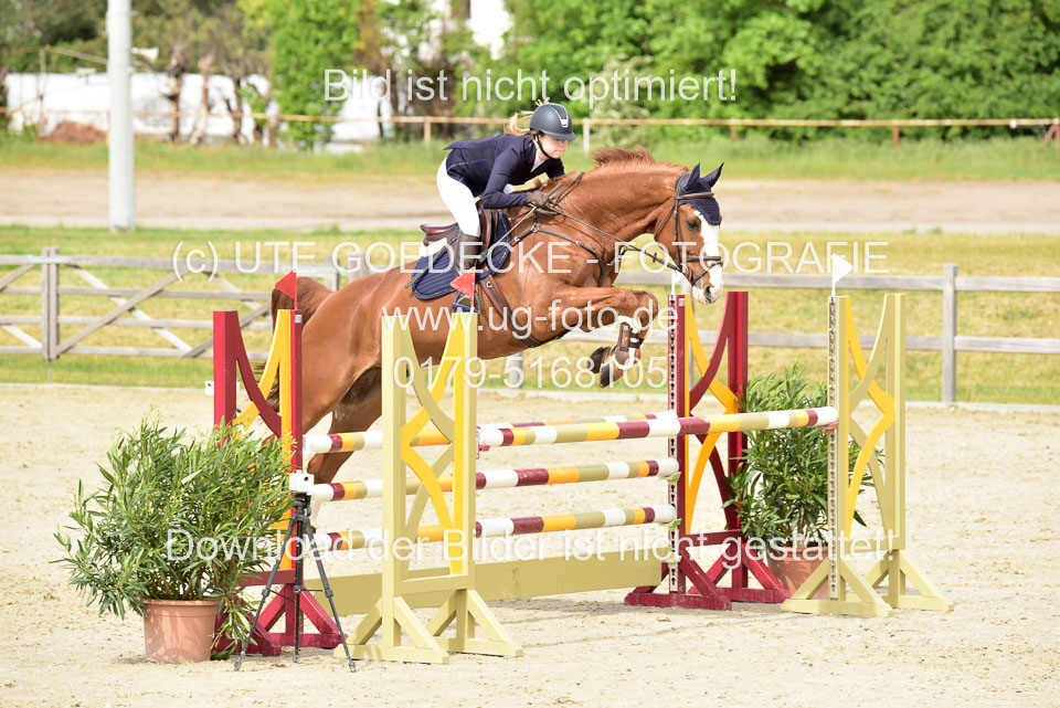 230520-Springen-Kl-L-bis-550-RLP_218.jpg