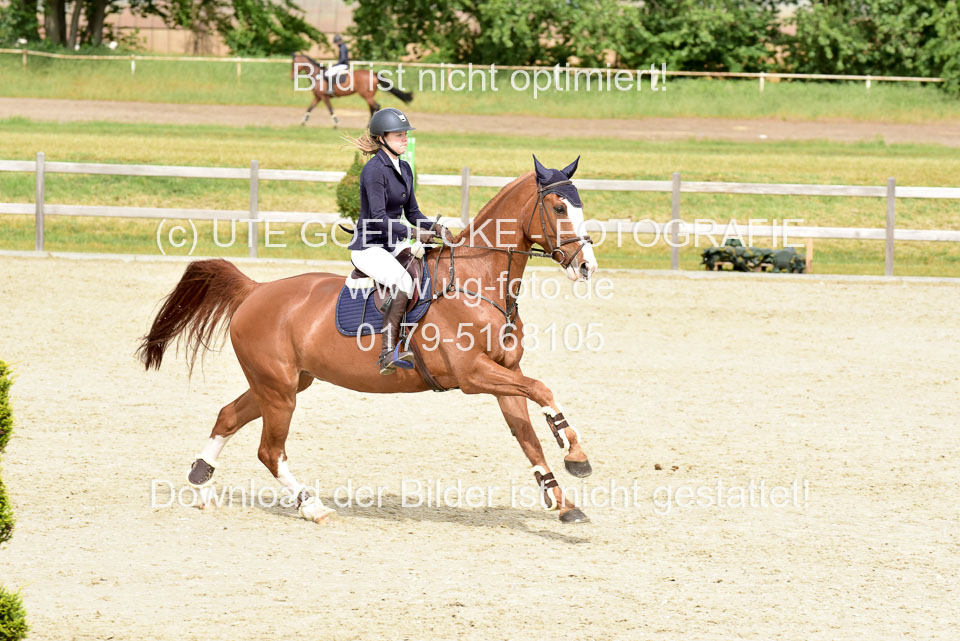 230520-Springen-Kl-L-bis-550-RLP_219.jpg