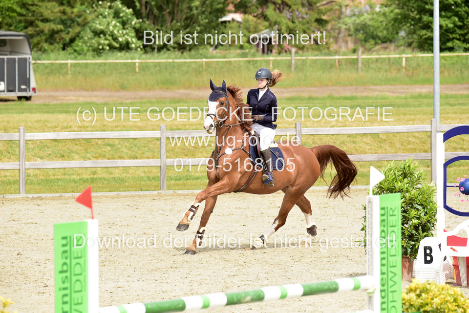 230520-Springen-Kl-L-bis-550-RLP_221.jpg
