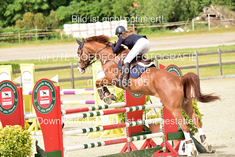 230520-Springen-Kl-L-bis-550-RLP_223.jpg