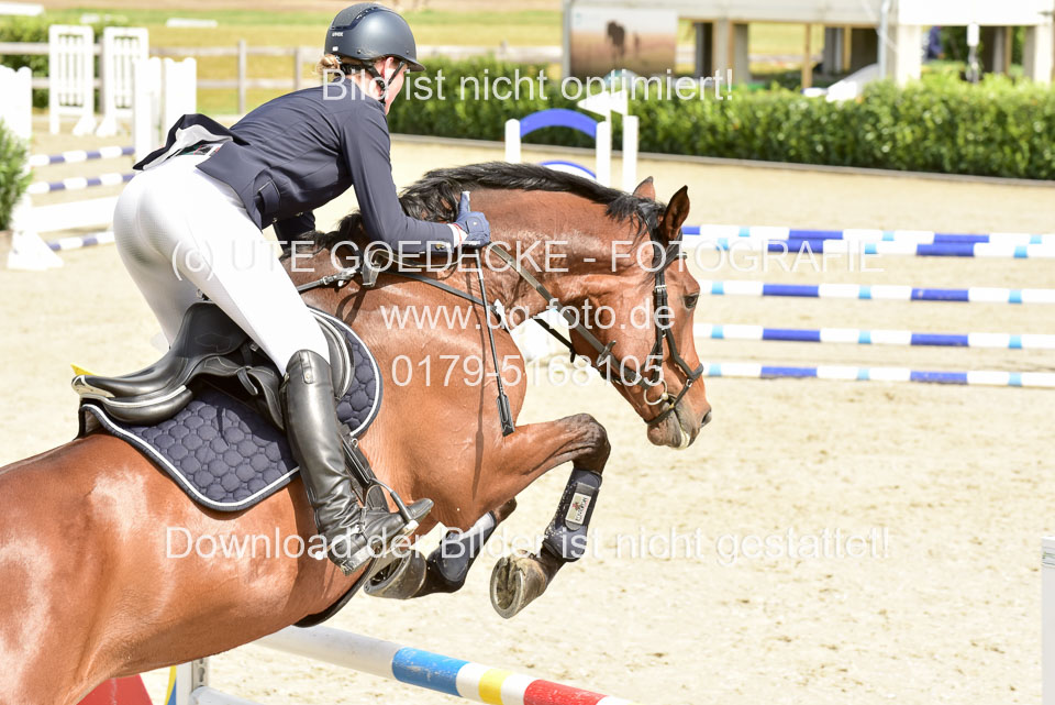 230520-Springen-Kl-L-bis-550-RLP_238.jpg