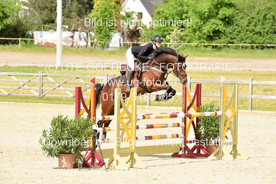 230520-Springen-Kl-L-bis-550-RLP_251.jpg