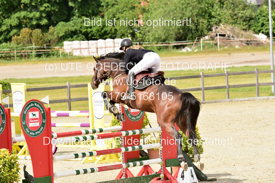 230520-Springen-Kl-L-bis-550-RLP_255.jpg