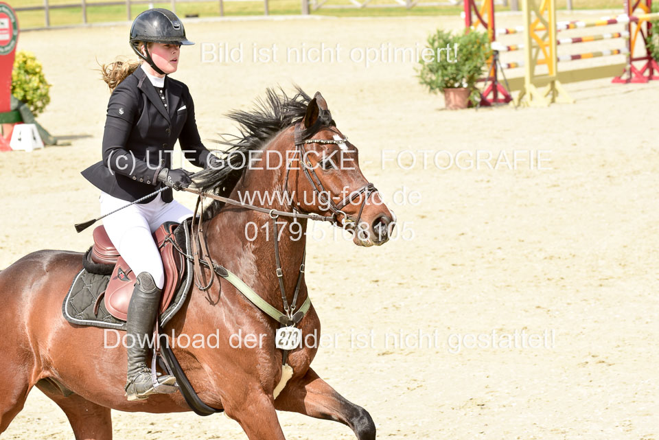 230520-Springen-Kl-L-bis-550-RLP_258.jpg