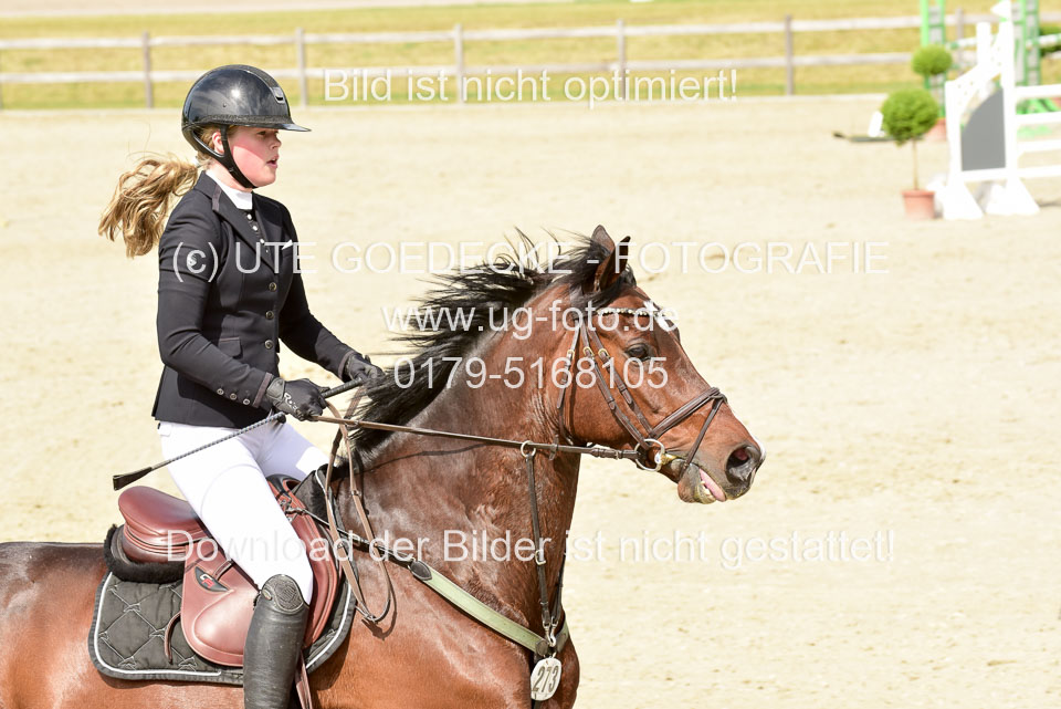 230520-Springen-Kl-L-bis-550-RLP_259.jpg