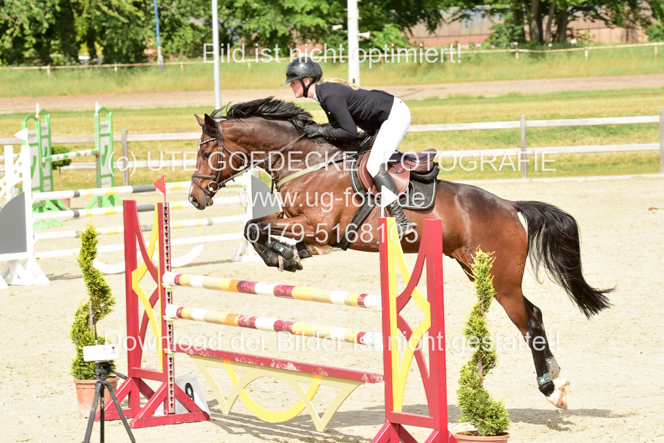230520-Springen-Kl-L-bis-550-RLP_262.jpg