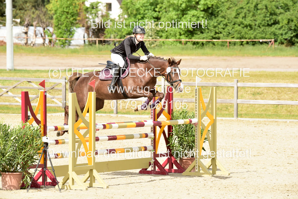 230520-Springen-Kl-L-bis-550-RLP_263.jpg