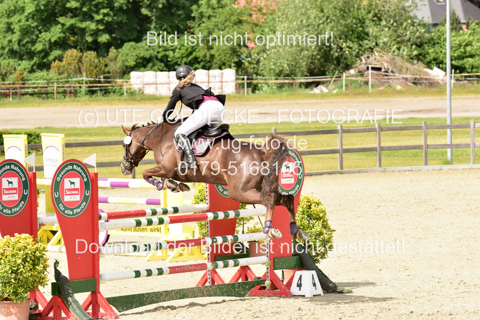 230520-Springen-Kl-L-bis-550-RLP_266.jpg