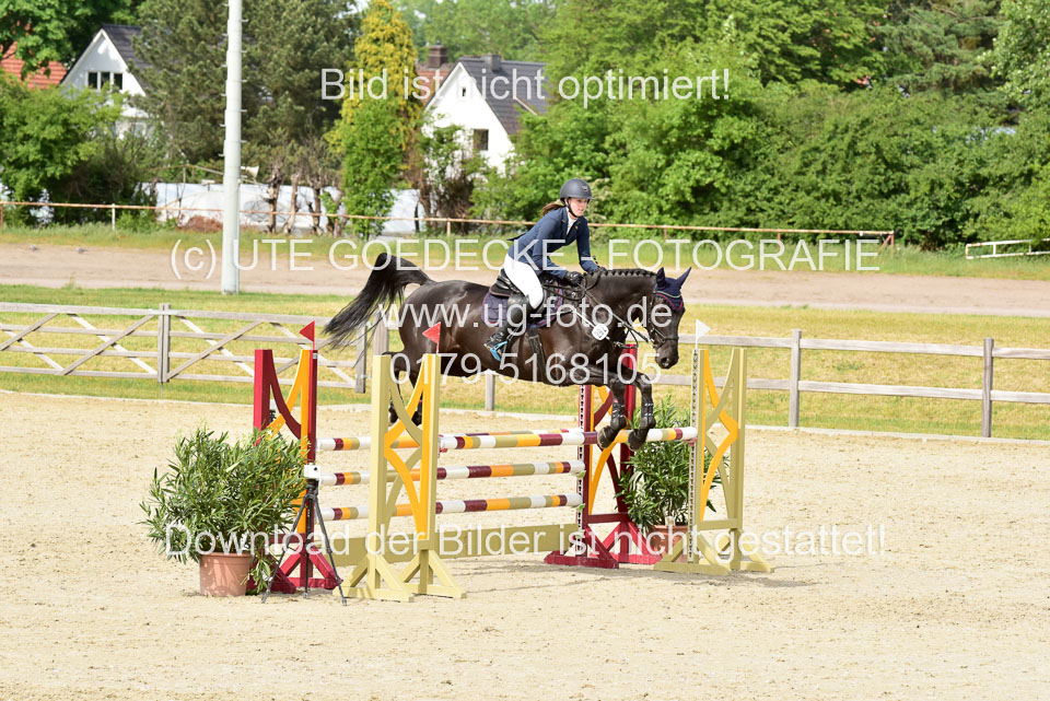 230520-Springen-Kl-L-bis-550-RLP_272.jpg