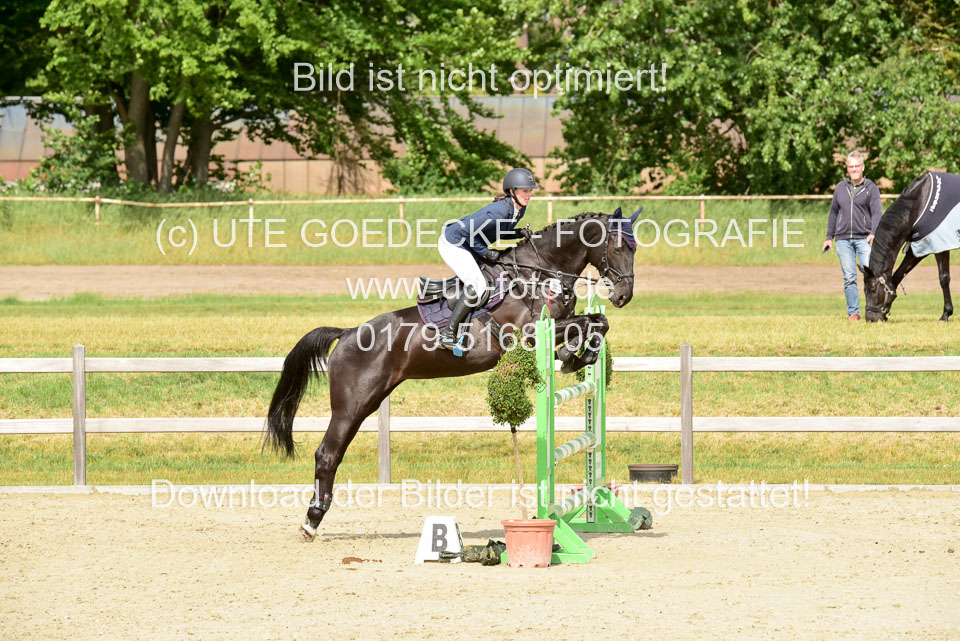 230520-Springen-Kl-L-bis-550-RLP_275.jpg