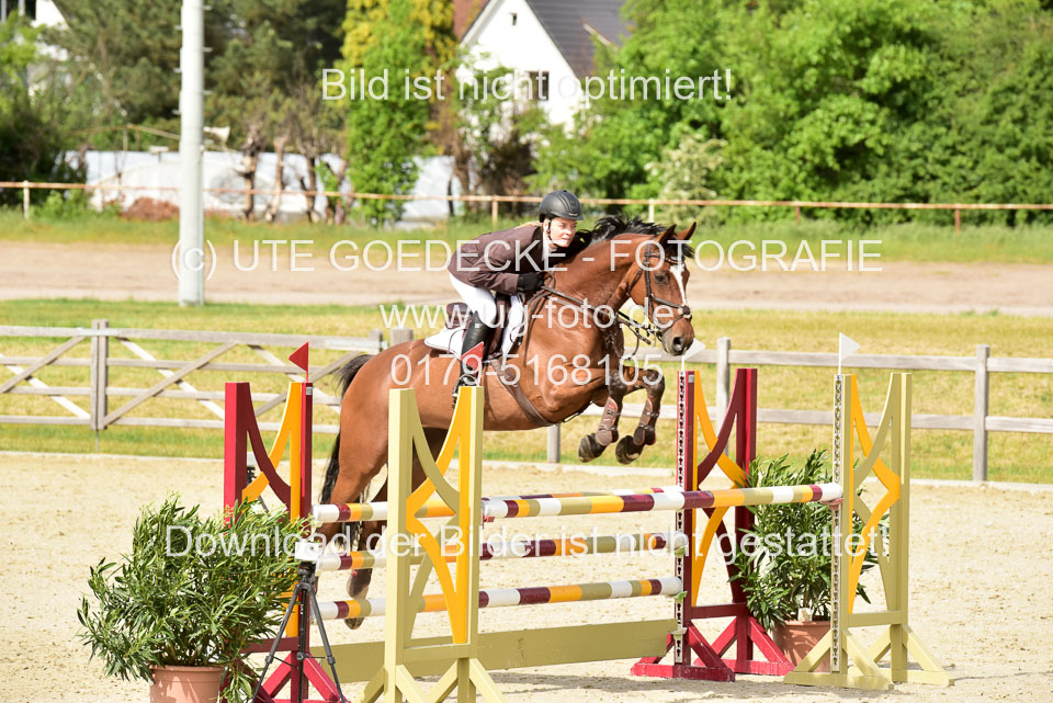 230520-Springen-Kl-L-bis-550-RLP_280.jpg