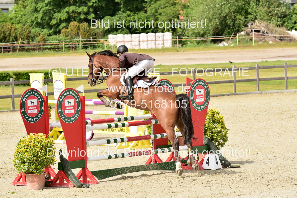 230520-Springen-Kl-L-bis-550-RLP_282.jpg