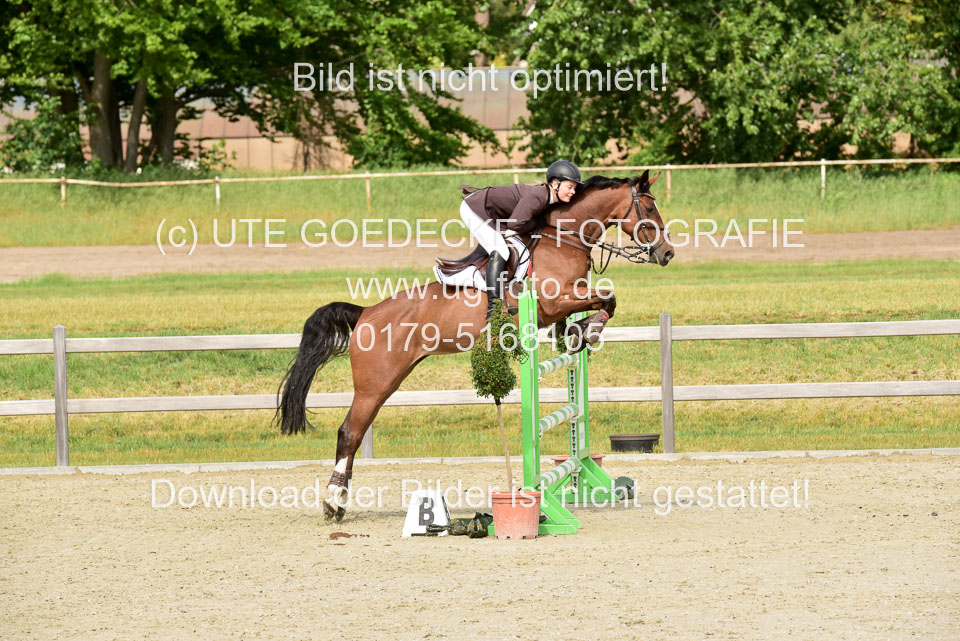 230520-Springen-Kl-L-bis-550-RLP_283.jpg