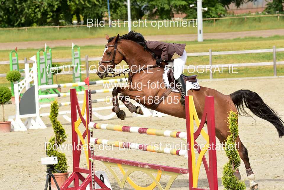 230520-Springen-Kl-L-bis-550-RLP_289.jpg
