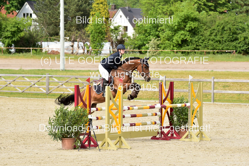 230520-Springen-Kl-L-bis-550-RLP_296.jpg