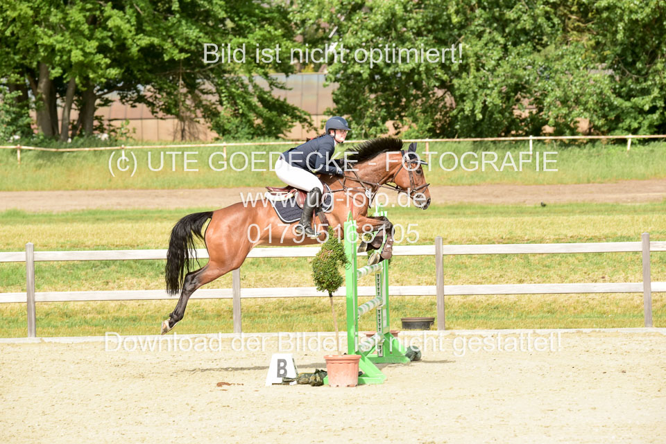 230520-Springen-Kl-L-bis-550-RLP_300.jpg
