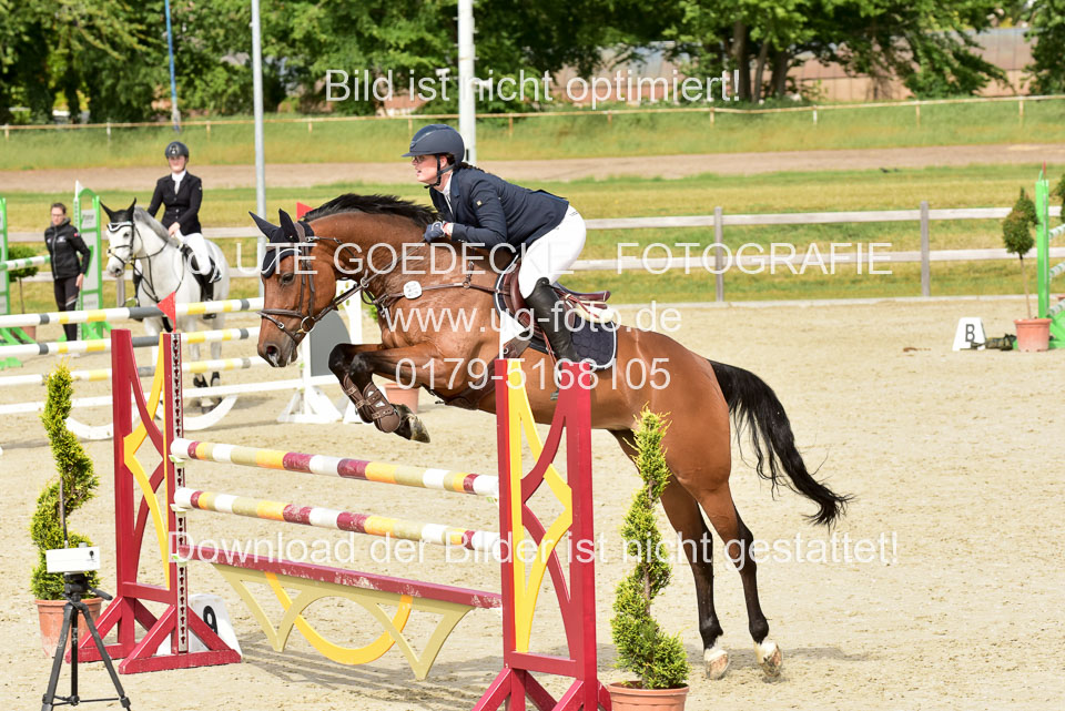 230520-Springen-Kl-L-bis-550-RLP_304.jpg