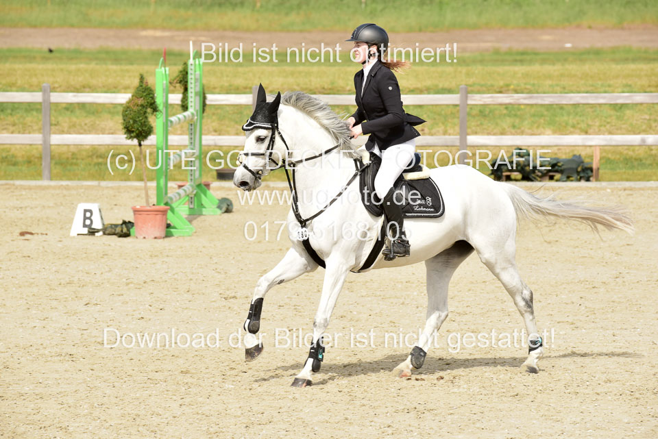 230520-Springen-Kl-L-bis-550-RLP_308.jpg