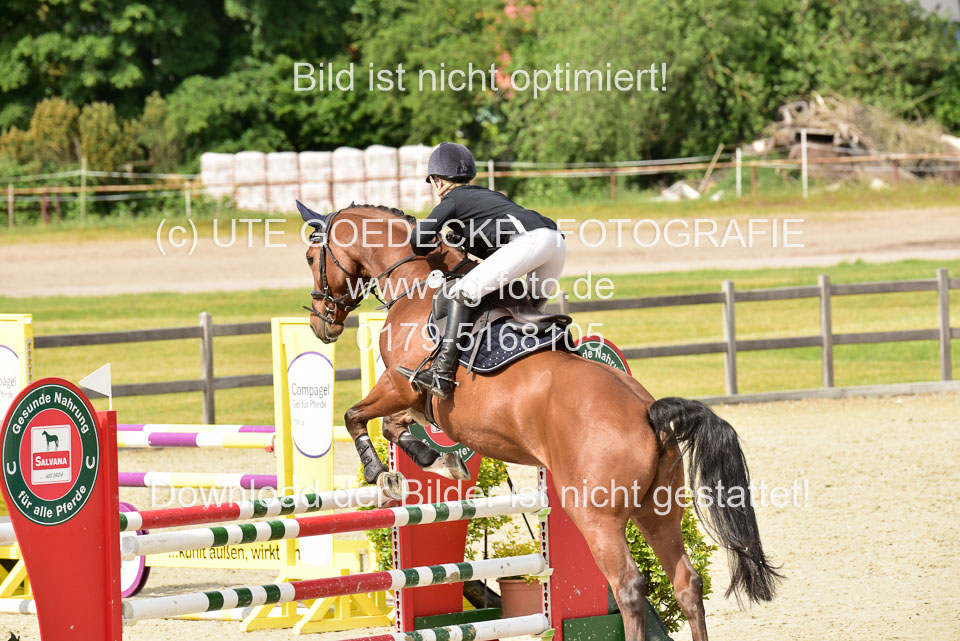 230520-Springen-Kl-L-bis-550-RLP_320.jpg