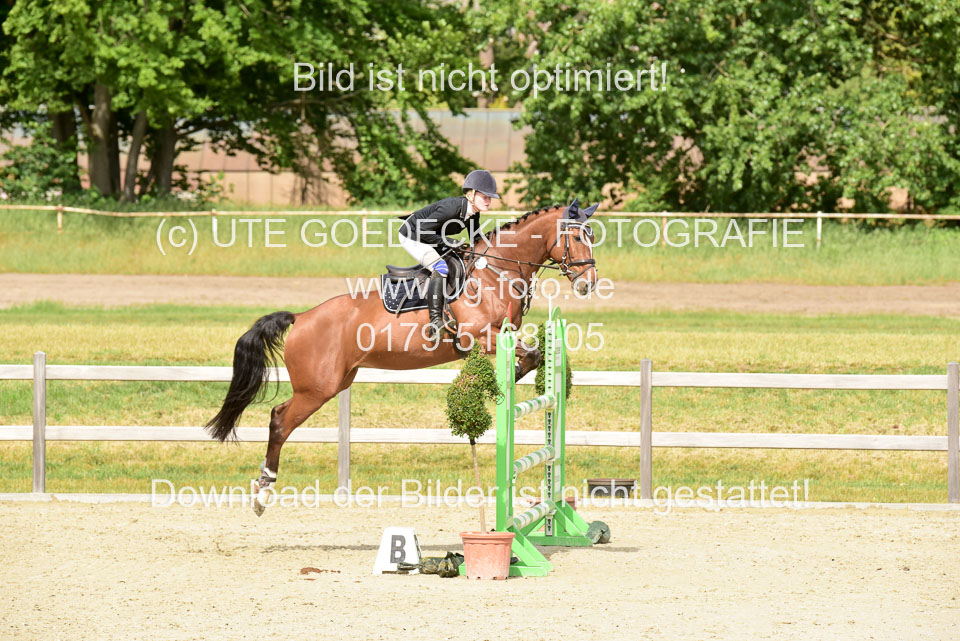 230520-Springen-Kl-L-bis-550-RLP_321.jpg