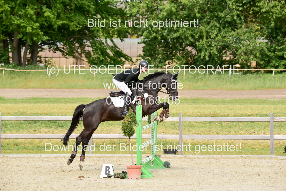 230520-Springen-Kl-L-bis-550-RLP_331.jpg