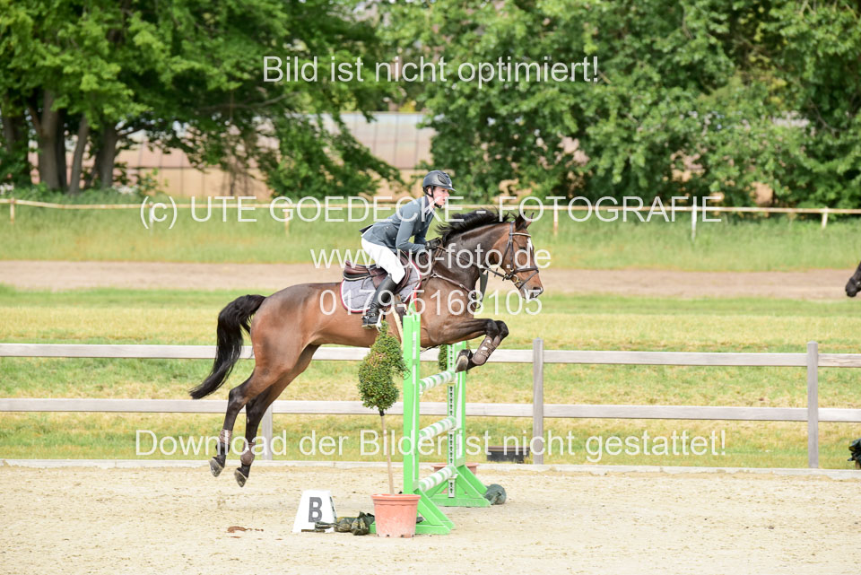 230520-Springen-Kl-L-bis-550-RLP_340.jpg