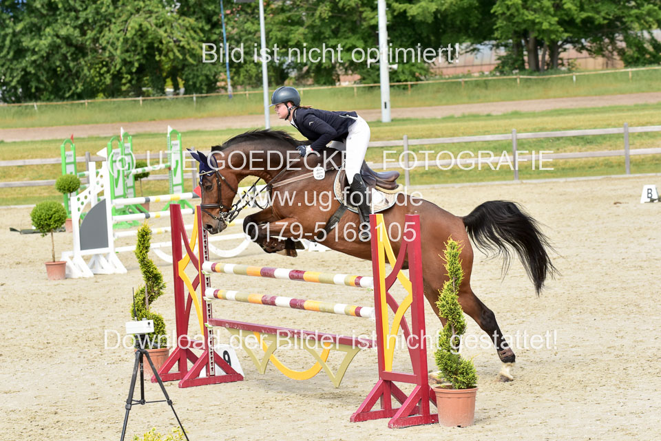 230520-Springen-Kl-L-bis-550-RLP_352.jpg