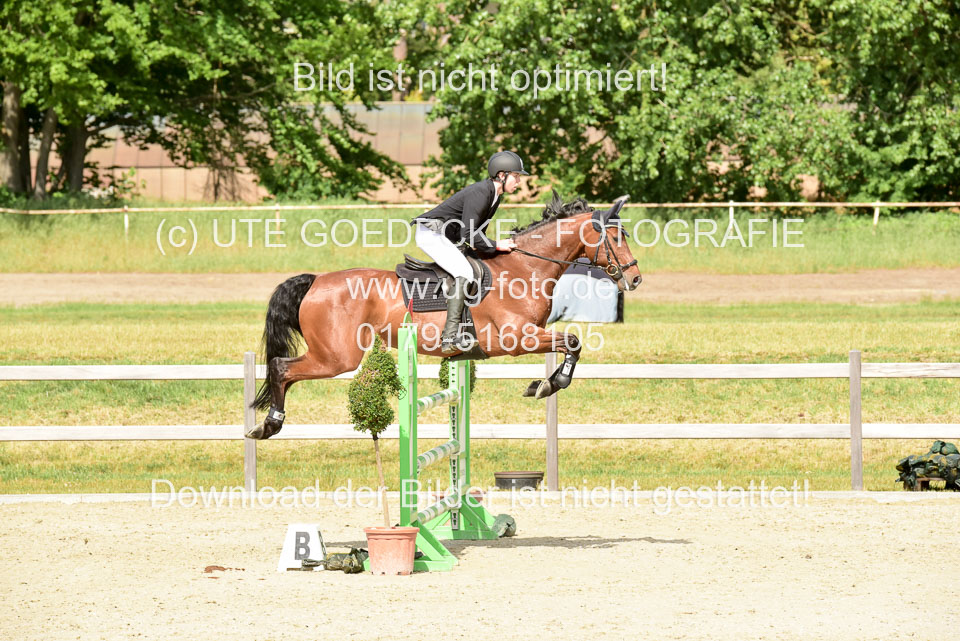 230520-Springen-Kl-L-bis-550-RLP_356.jpg