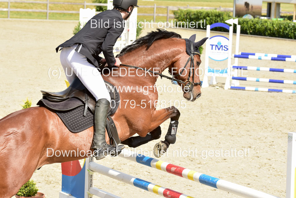 230520-Springen-Kl-L-bis-550-RLP_360.jpg