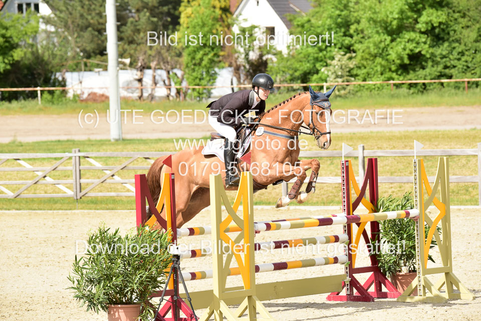 230520-Springen-Kl-L-bis-550-RLP_362.jpg