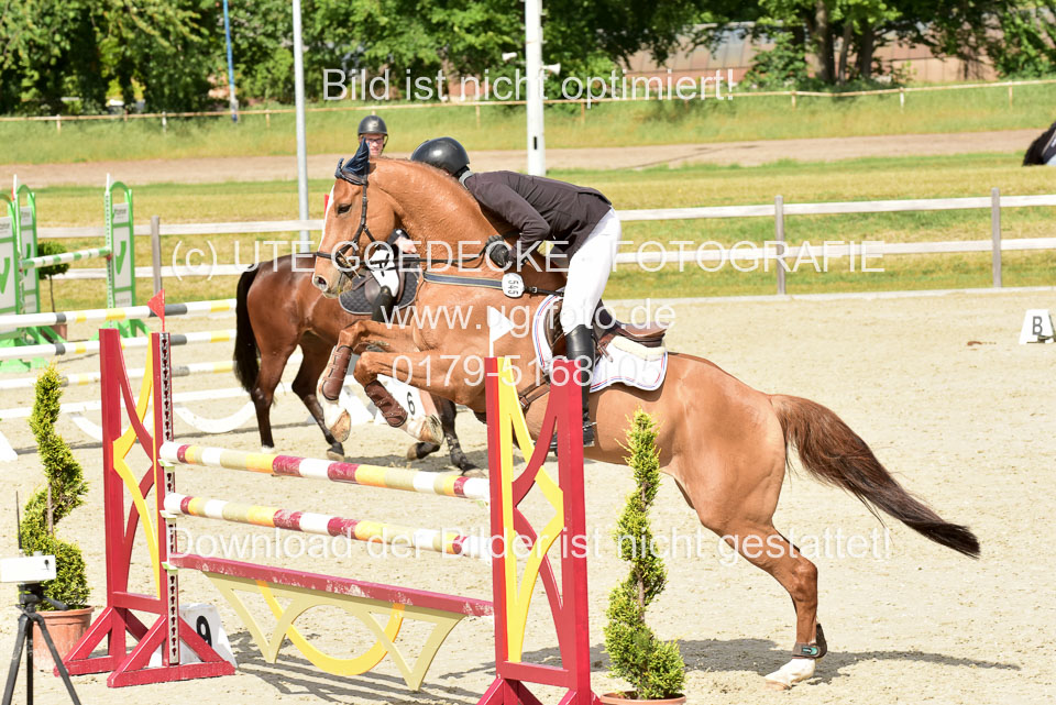 230520-Springen-Kl-L-bis-550-RLP_367.jpg