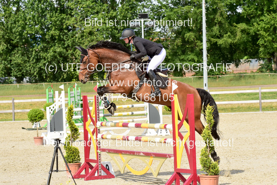 230520-Springen-Kl-L-bis-550-RLP_376.jpg
