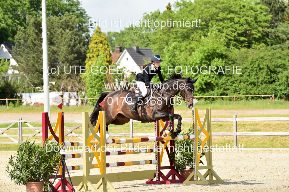 230520-Springen-Kl-L-bis-550-RLP_377.jpg
