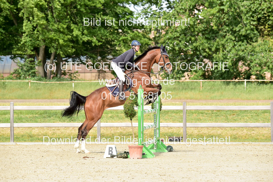 230520-Springen-Kl-L-bis-550-RLP_390.jpg