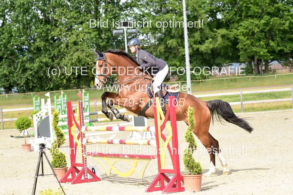 230520-Springen-Kl-L-bis-550-RLP_394.jpg