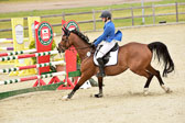 230520-Springen-Kl-L-bis-550-RLP_003.jpg