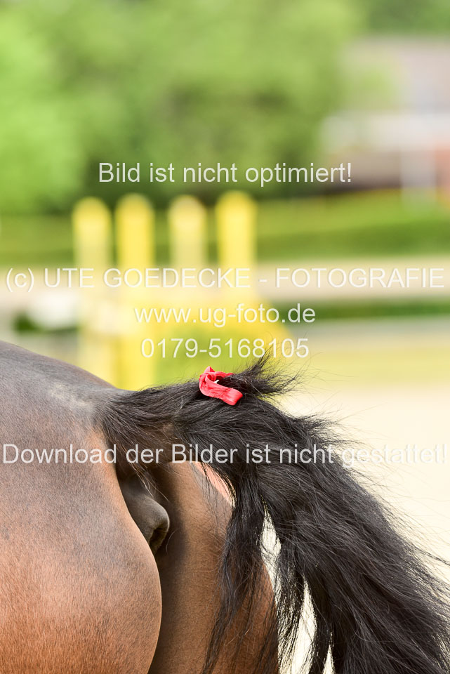23-5-20-Stilspringen-Kl-A-JR--REI-_070.jpg