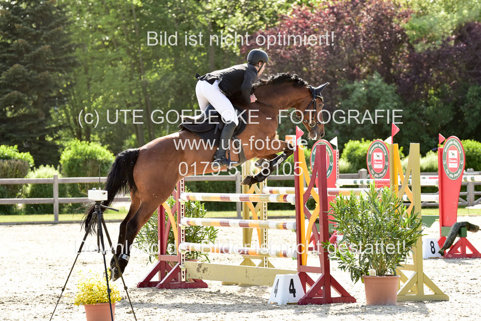 230520-Stielspringen-Kl-M-bis-550-RLP_41.jpg