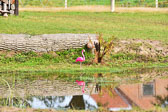 270920---Imprssionen_09.jpg