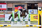 Springen