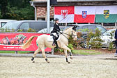 270920---Springen-_485.jpg