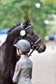 270920---Vormustern_127.jpg