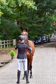 270920---Vormustern_241.jpg