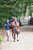 270920---Vormustern_261.jpg