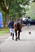 270920---Vormustern_346.jpg