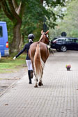 270920---Vormustern_353.jpg