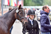 270920---Vormustern_358.jpg